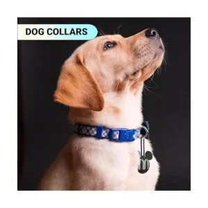 Disney Mickey Mouse Ears Paquete de 4 fundas de silicona_7