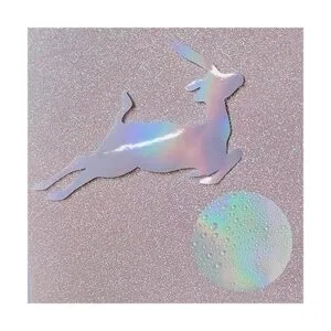 Vinilo holográfico transparente holográfico de 12 x 20_3
