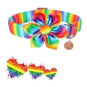 DOGWONG Collar de perro de algodón arcoíris con flor_2