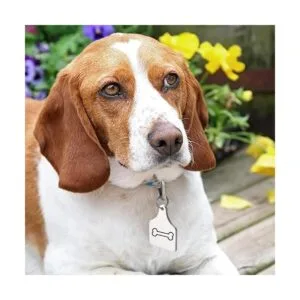 Etiquetas de metal de vaca en blanco con estampado de_7