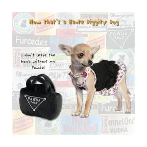 Haute Diggity Dog Colección Fashion Hound Juguetes_2
