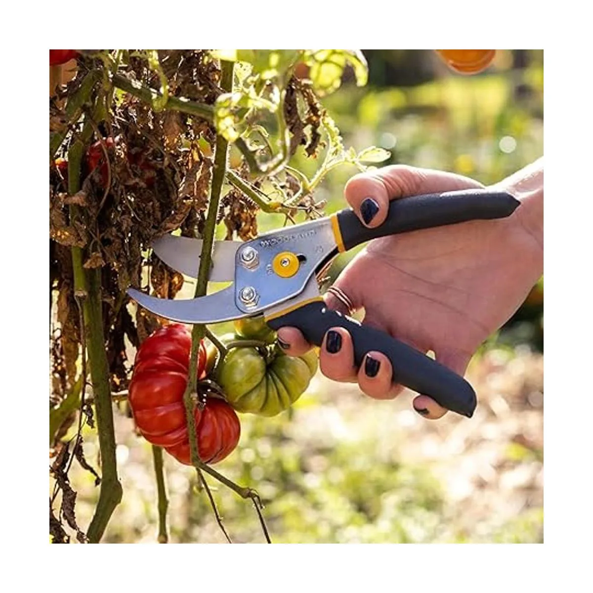 Woodland Tools Co. Tijeras de podar de derivación de_3