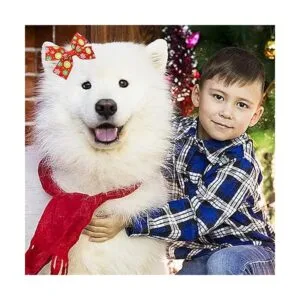 PET SHOW 20Pairs 2 3 4 Big Dog Hair Bows with Rubber_2