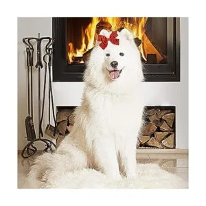 PET SHOW 20Pairs 2 3 4 Big Dog Hair Bows with Rubber_6