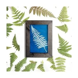 Juego de 30 piezas de papel cianotipo para impresión_4