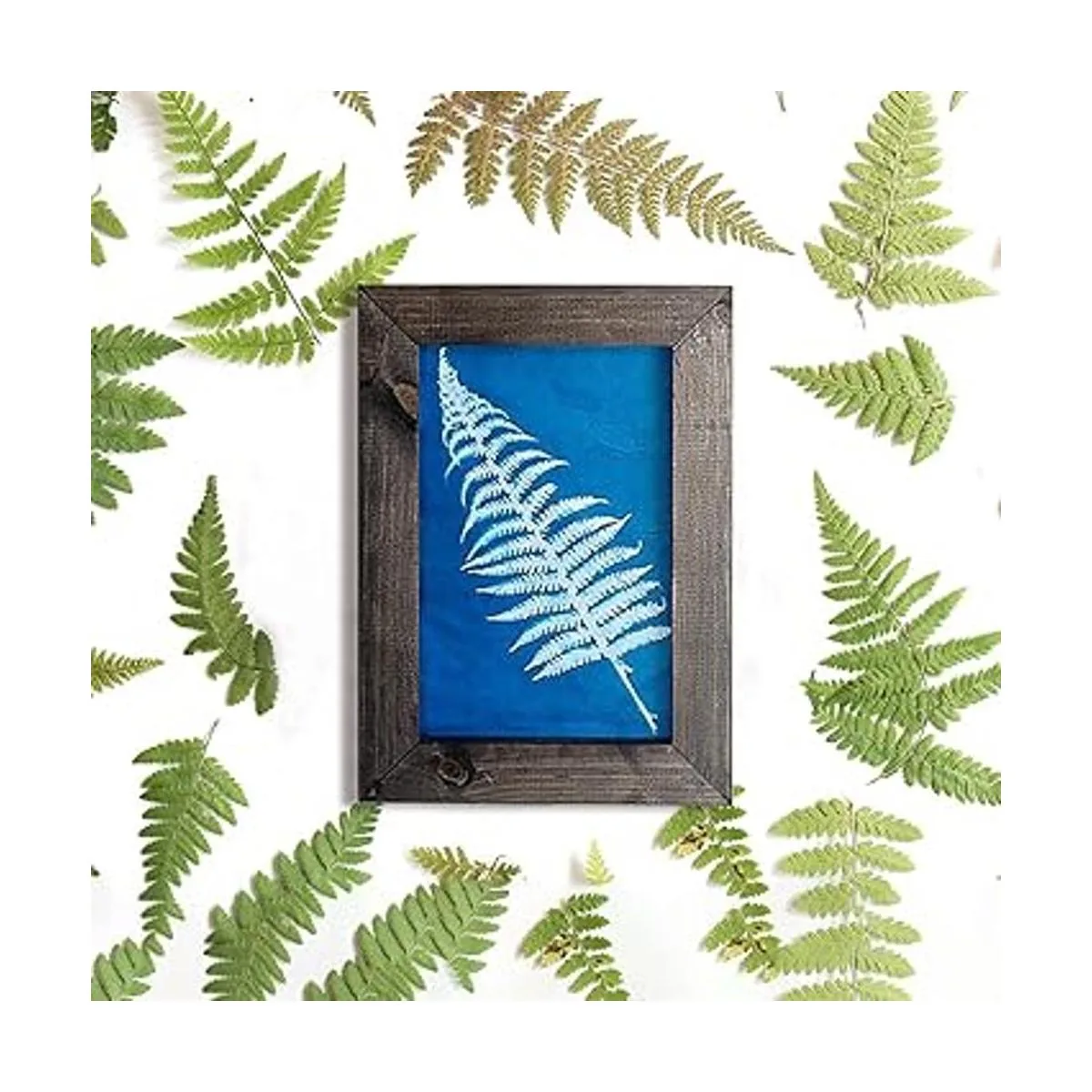 Juego de 30 piezas de papel cianotipo para impresión_4