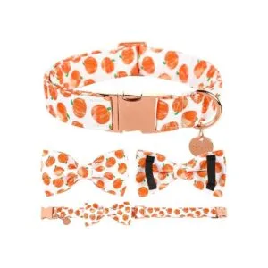 UP URARA PUP Collar de perro de Halloween con corbatín_5
