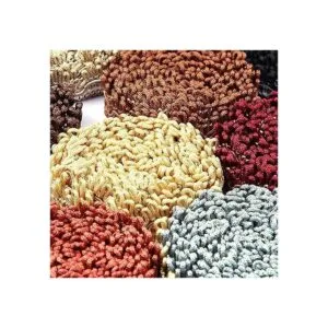 BEL AVENIR Ribete de trenza de 12 yardas Delicia French_7