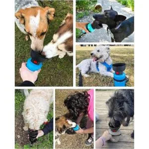 lesotc 2022 Upgraded Pet Water Bottle for DogsDog Water_7