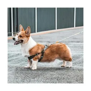 40 anillos de resorte redondo de 1.102 in mosquetón_7