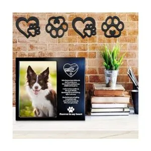 Decoración de habitación de perro impresiones de patas de_4