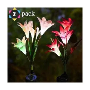 TDA Luces solares decorativas de jardín con diseño de_2