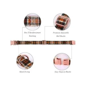 Lionet Paws Collar de perro de Halloween con corbatín_2