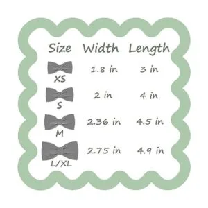 Maca Bates Collar y correa para perro ajustable azul y_6