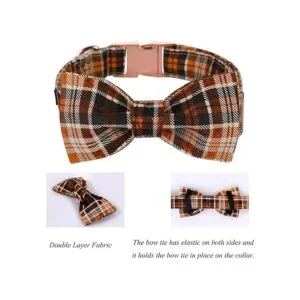 Lionet Paws Collar de perro de Halloween con corbatín_3