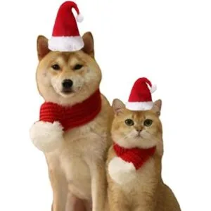 ANIAC Sombrero de Papá Noel con bufanda para niños gorro_7