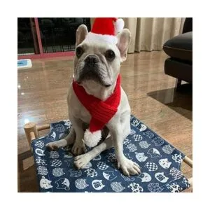 ANIAC Sombrero de Papá Noel con bufanda para niños gorro_5