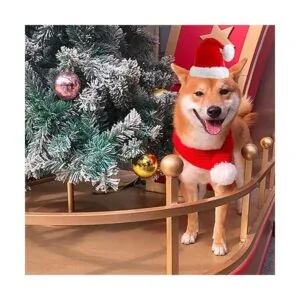 ANIAC Sombrero de Papá Noel con bufanda para niños gorro_4