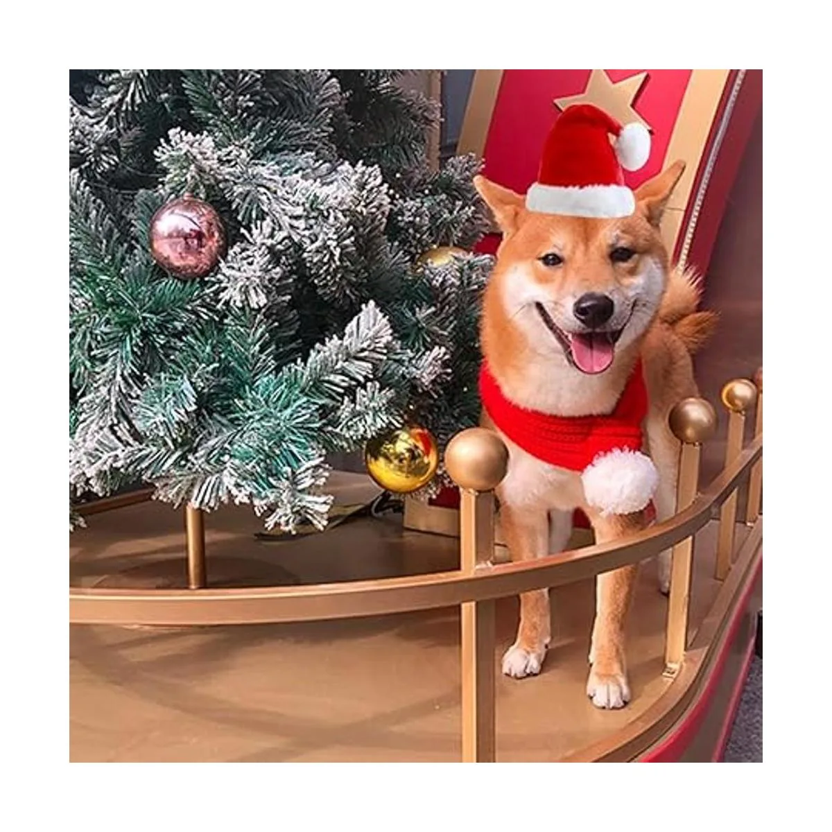 ANIAC Sombrero de Papá Noel con bufanda para niños gorro_4