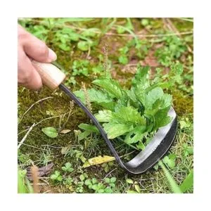 Elegital Kana Hoe 217 Herramienta de jardín japonesa la_7