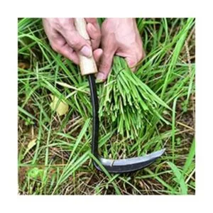 Elegital Kana Hoe 217 Herramienta de jardín japonesa la_6