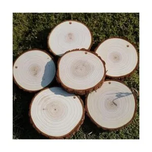 SENMUT Rebanadas de madera 20 piezas de 3.5 a 4.0_3