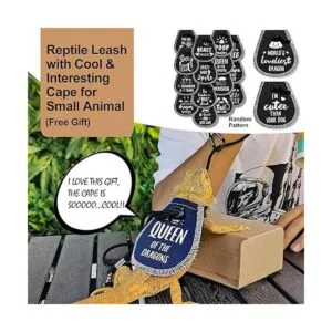 Juego de cama de reptiles con correa de lagarto arnés de_6