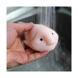 Juguete Blobfish para apretar estira aprieta y aprieta_6