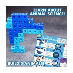 The Young Scientists Club Ocean Animals Cubos construye_6