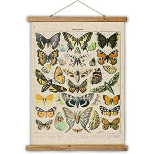 Póster colgante de mariposas vintage estilo retro de_1