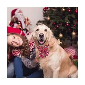 ADOGGYGO Collar de perro de Navidad con corbatín collares_2