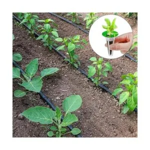 Accesorios de jardín hidropónico Kit de cápsulas de_6