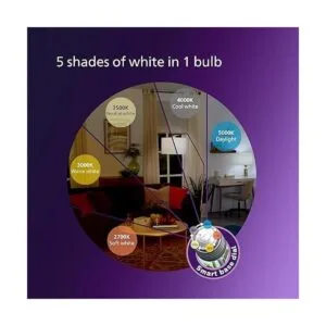 Philips LED Esfera blanca sin parpadeo A19 regulable_4