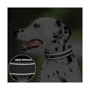 PetiFine Collar de perro resistente ajustable de neopreno_4