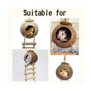 PINVNBY Crested Gecko Coco Hut con escalera lagarto_7