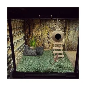 PINVNBY Crested Gecko Coco Hut con escalera lagarto_6