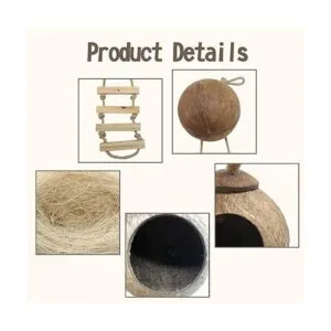 PINVNBY Crested Gecko Coco Hut con escalera lagarto_4