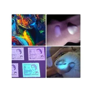 DARKBEAM Linterna UV de 365 nm luz negra recargable USB_4