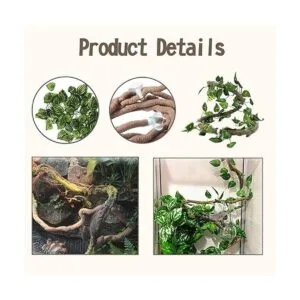 PINVNBY Crested Gecko Coco Hut con escalera lagarto_5