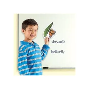 Learning Resources Ciclo de vida de mariposas 9 piezas_3