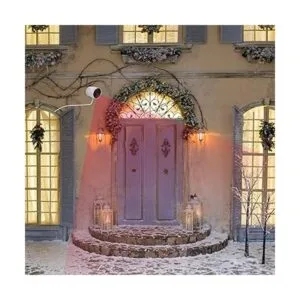 Cable de alimentación compatible con Google Nest Cam_5