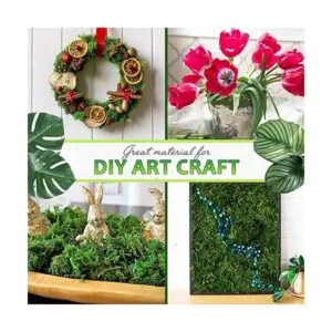 DUSPRO Musgo verde para manualidades relleno de musgo_5