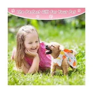 5 piezas de bonito vestido para perro ropa de verano para_7