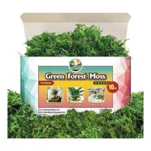 DUSPRO Musgo verde para manualidades relleno de musgo_1