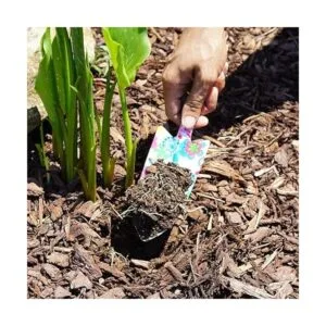 Herramientas de jardinería de diseño floral juego de 3_6