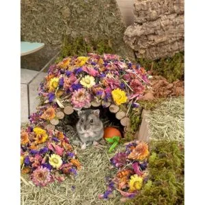 Bissap Ropa de cama para hámster de flores naturales y_6