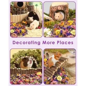 Bissap Ropa de cama para hámster de flores naturales y_7