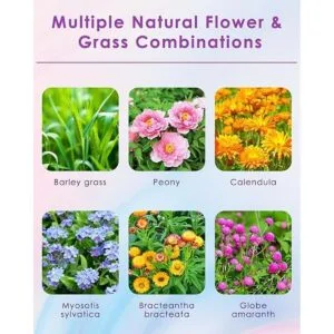 Bissap Ropa de cama para hámster de flores naturales y_2