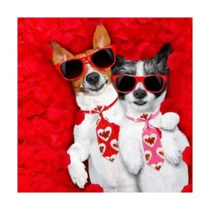 Paquete de 18 corbatas para el día de San Valentín_4