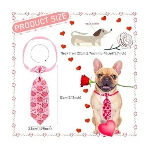 Paquete de 18 corbatas para el día de San Valentín_3